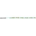 Bande 60 leds HL 12V